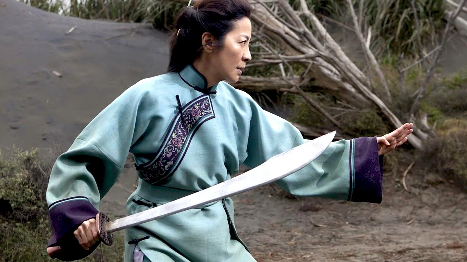 MOVIE REVIEW: Crouching Tiger, Hidden Dragon: Sword of Destiny