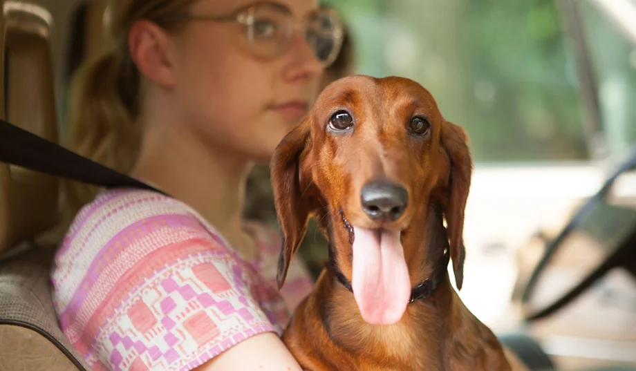 (Image: nationalreview.com)