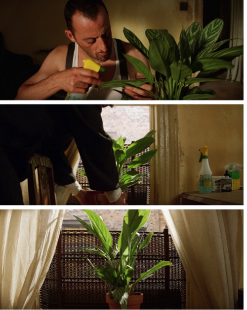 Guest Critic 29 Leon The Professional Every Movie Has A Lesson