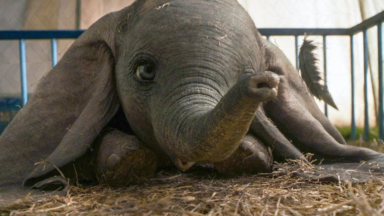 MOVIE REVIEW: Dumbo