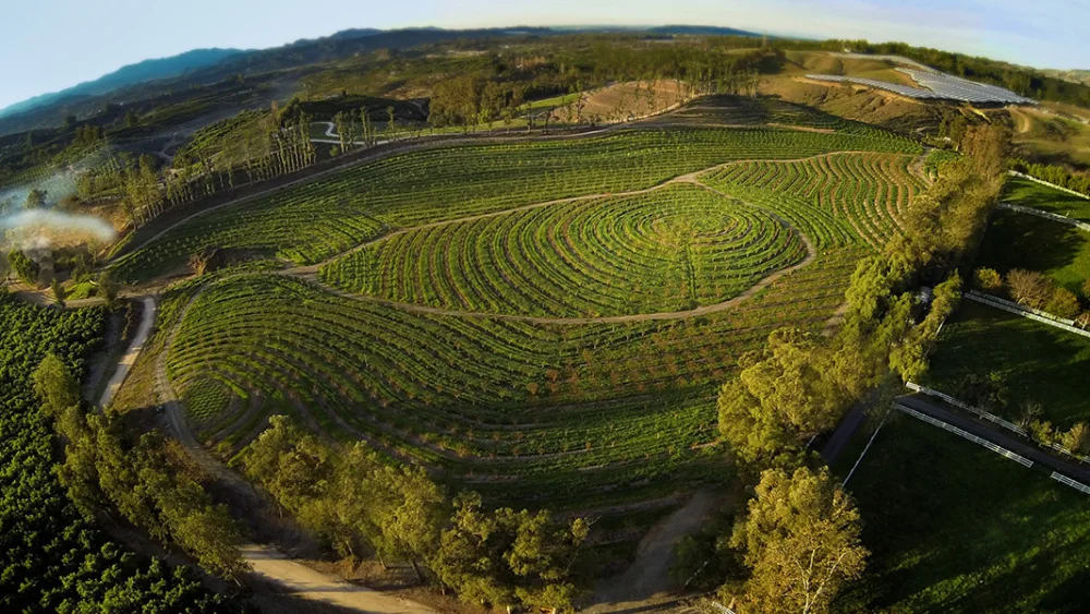 DOCUMENTARY REVIEW: The Biggest Little Farm
