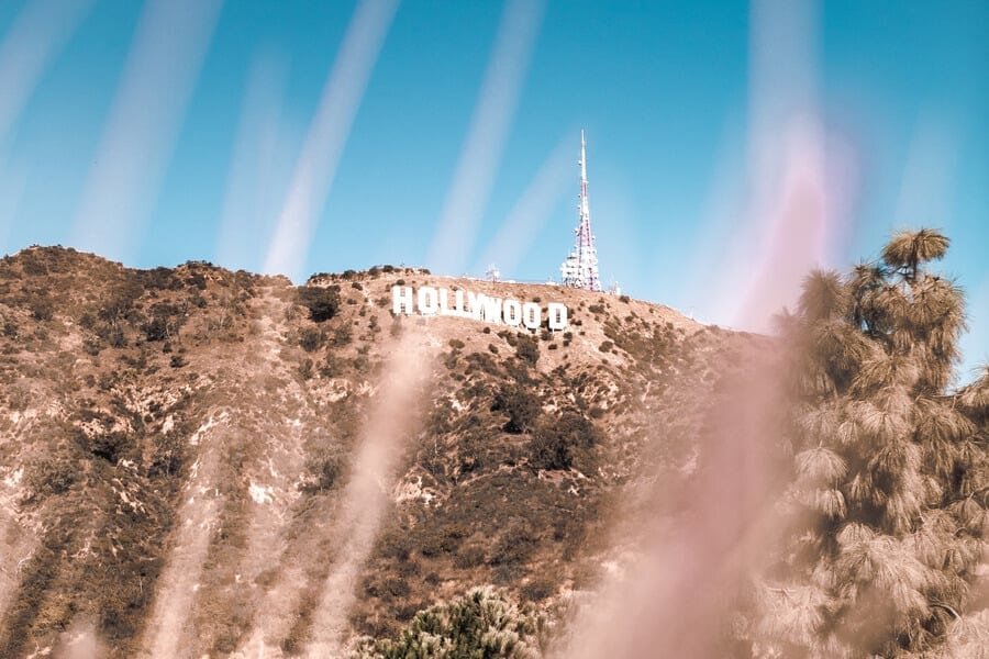 GUEST EDITORIAL:  Strange Celebrity Addictions