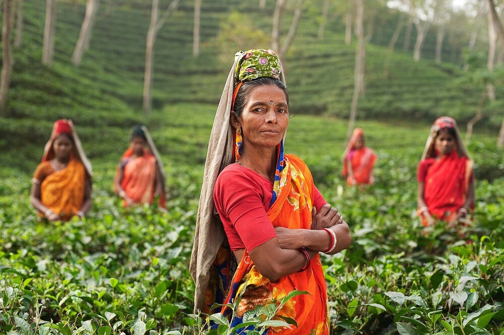 Image: https://pixabay.com/photos/person-woman-india-fields-plantage-690245/