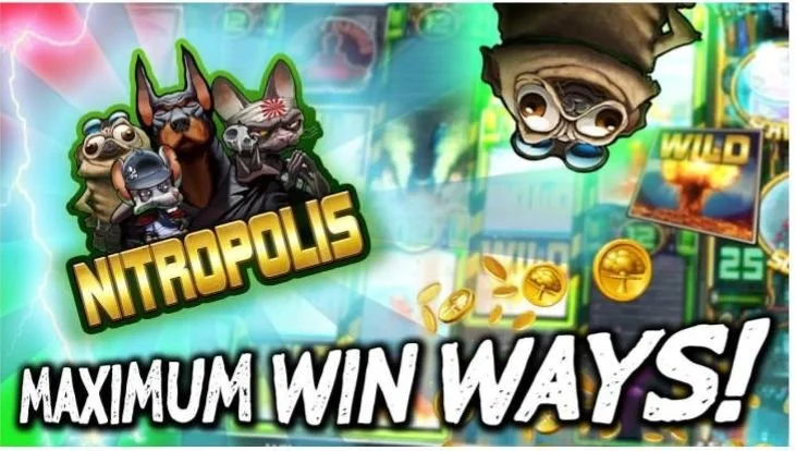 Maximal Wins Casino Review - The Best Online Casino