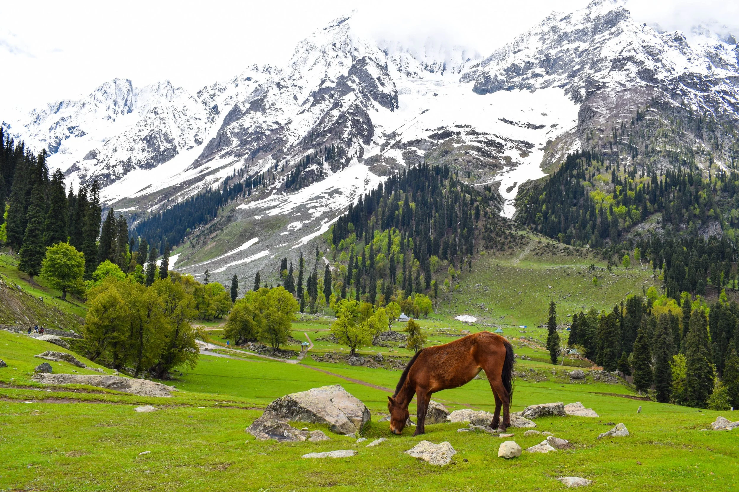 Capturing Kashmir: A Photographer's Paradise and Tips for Picture-Perfect Memories