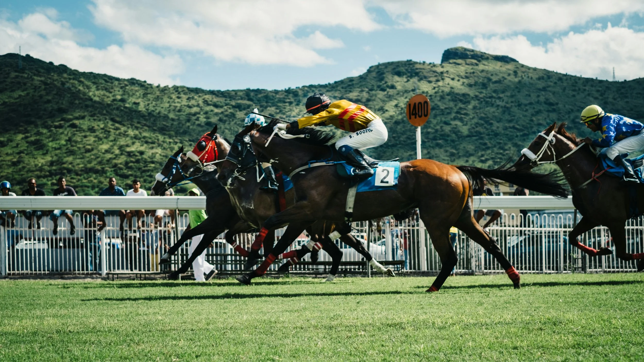 Betting on Horse Racing vs. Other Forms of Gambling: A Beginner's Guide