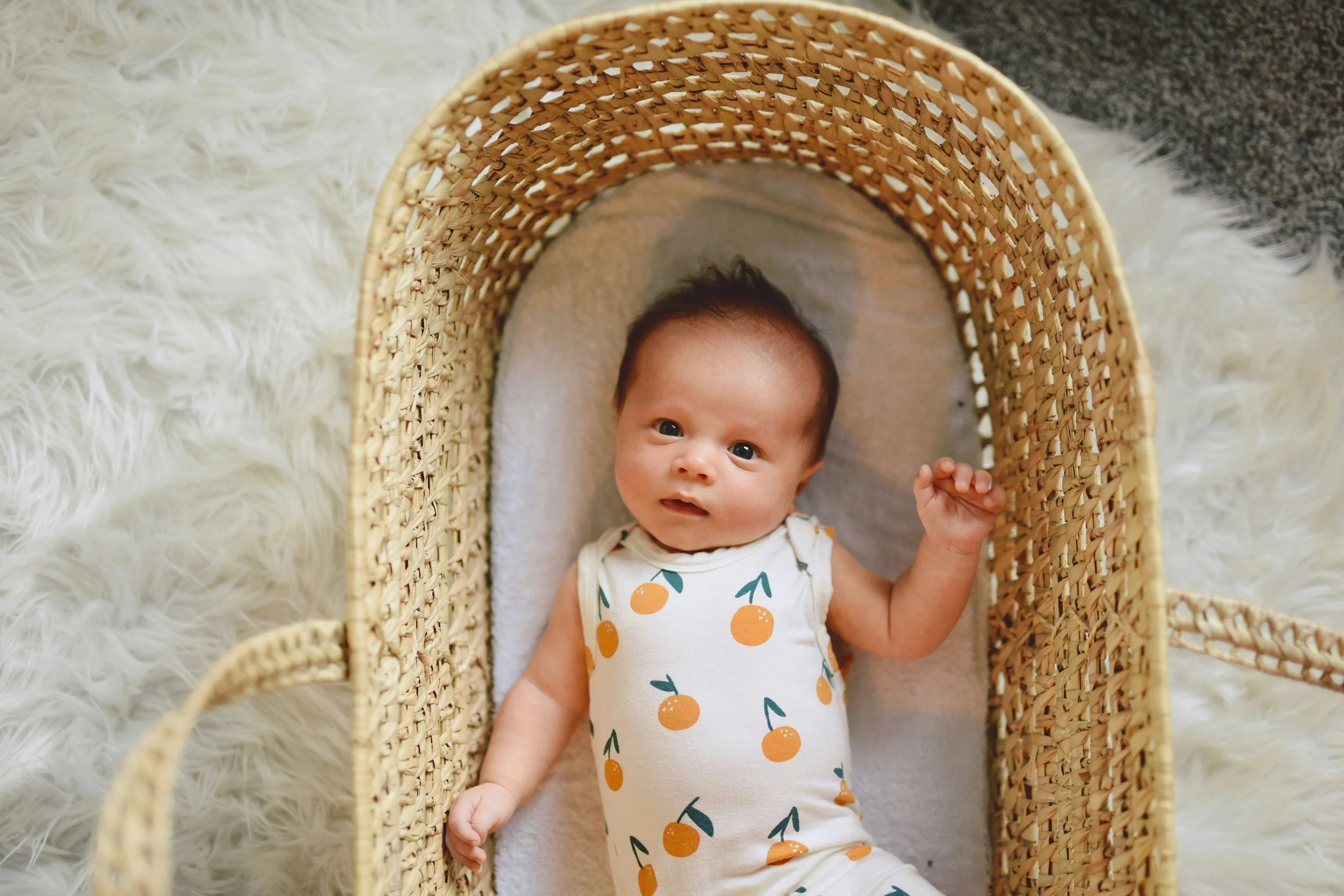 Moses Basket with Stand or Without: Which Option Is More Practical?