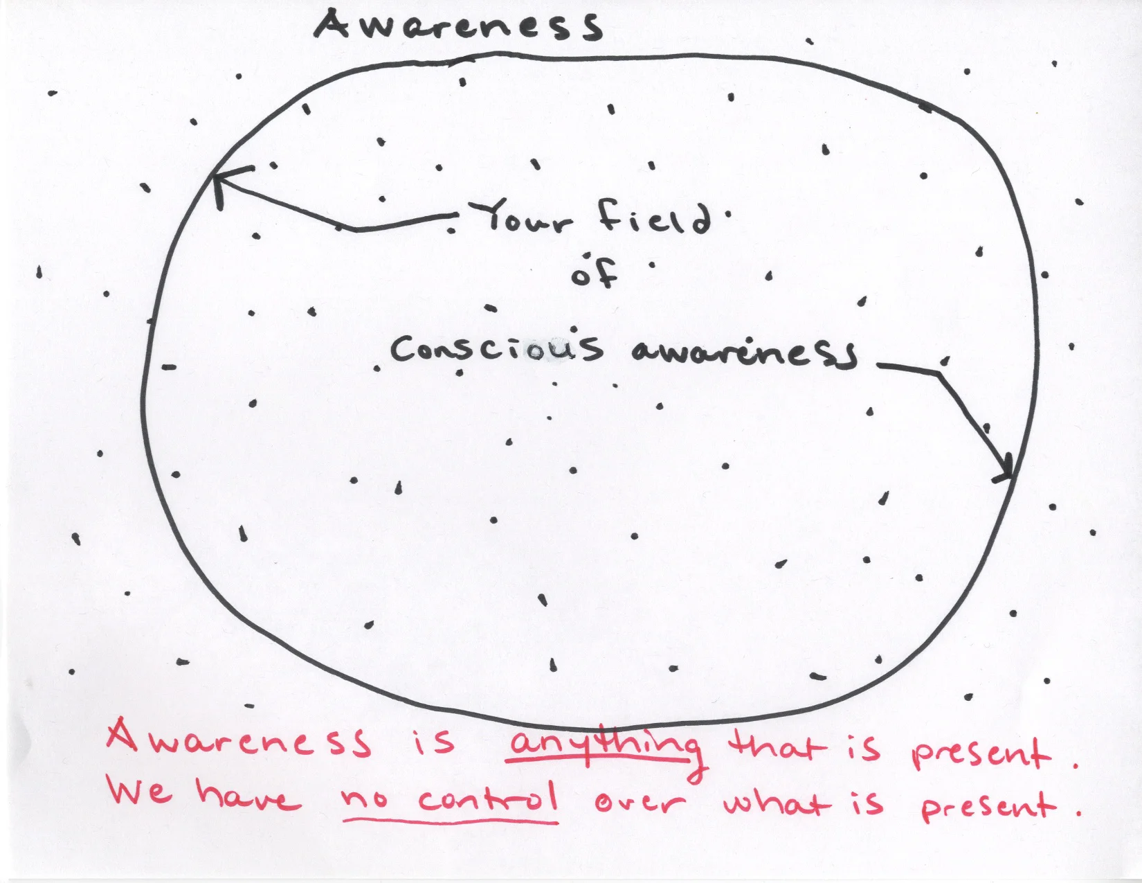 FieldofConsciousAwareness.jpg