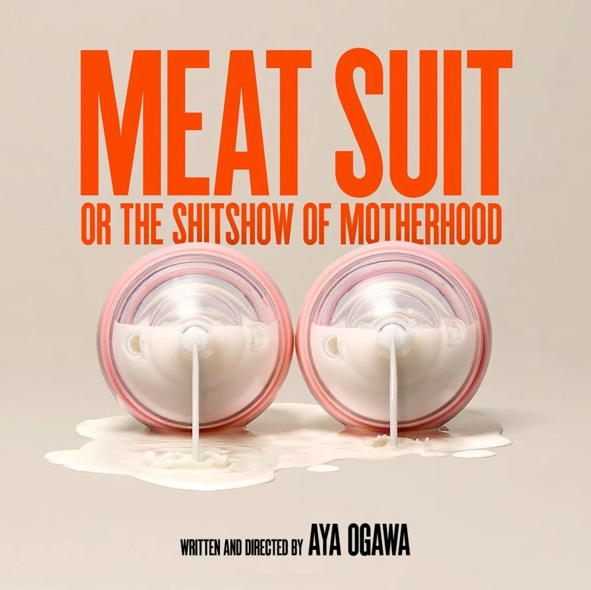 MEAT SUIT, OR THE SHITSHOW OF MOTHERHOOD