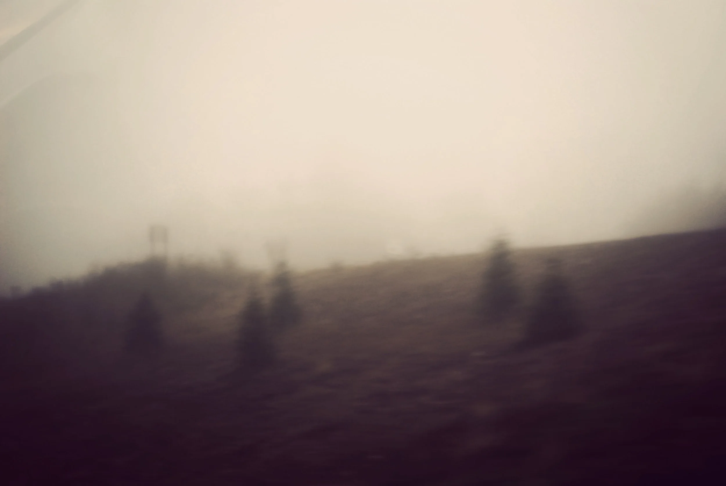 blurred-pine-trees copy.jpg