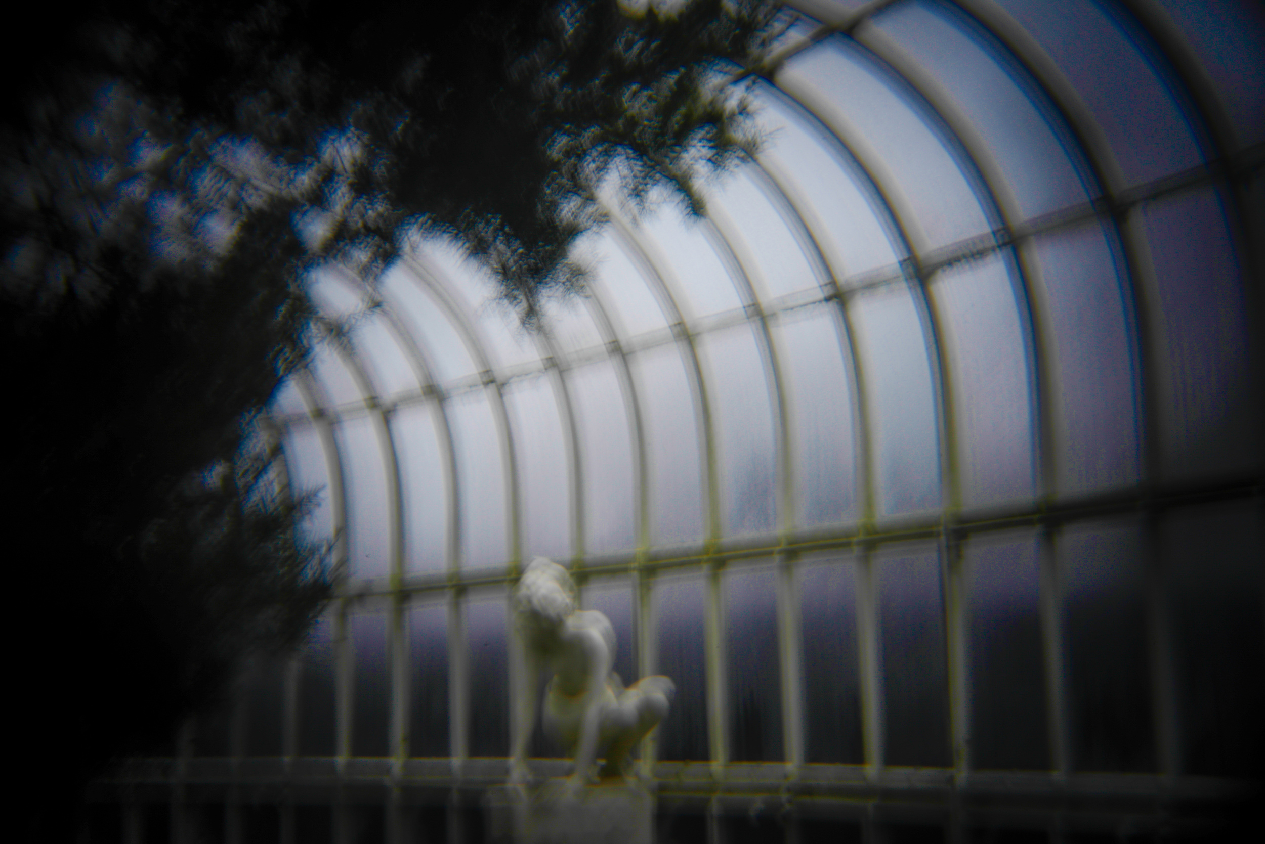 botanic gardens holga (4 of 16).jpg