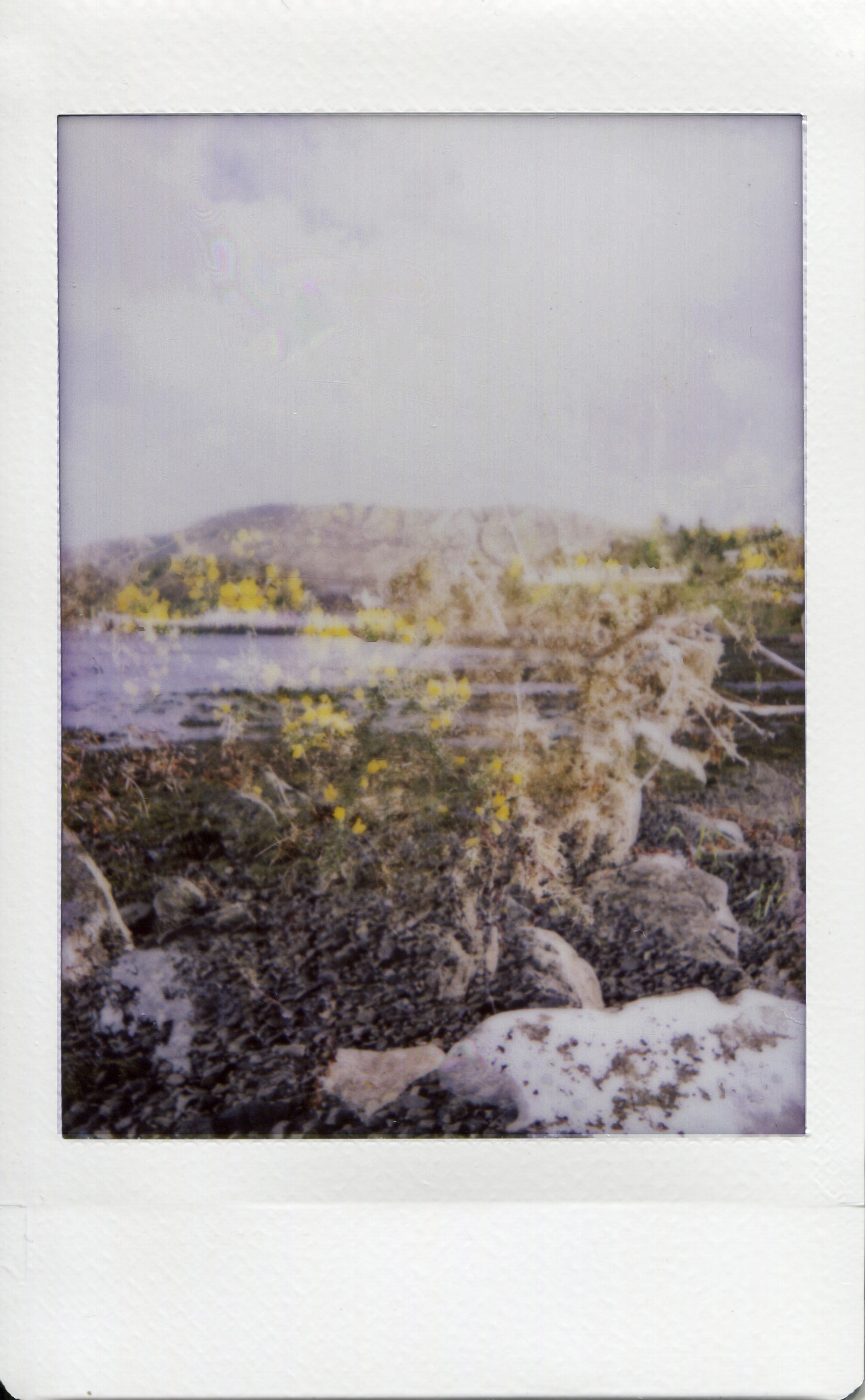 mini instax018.jpg