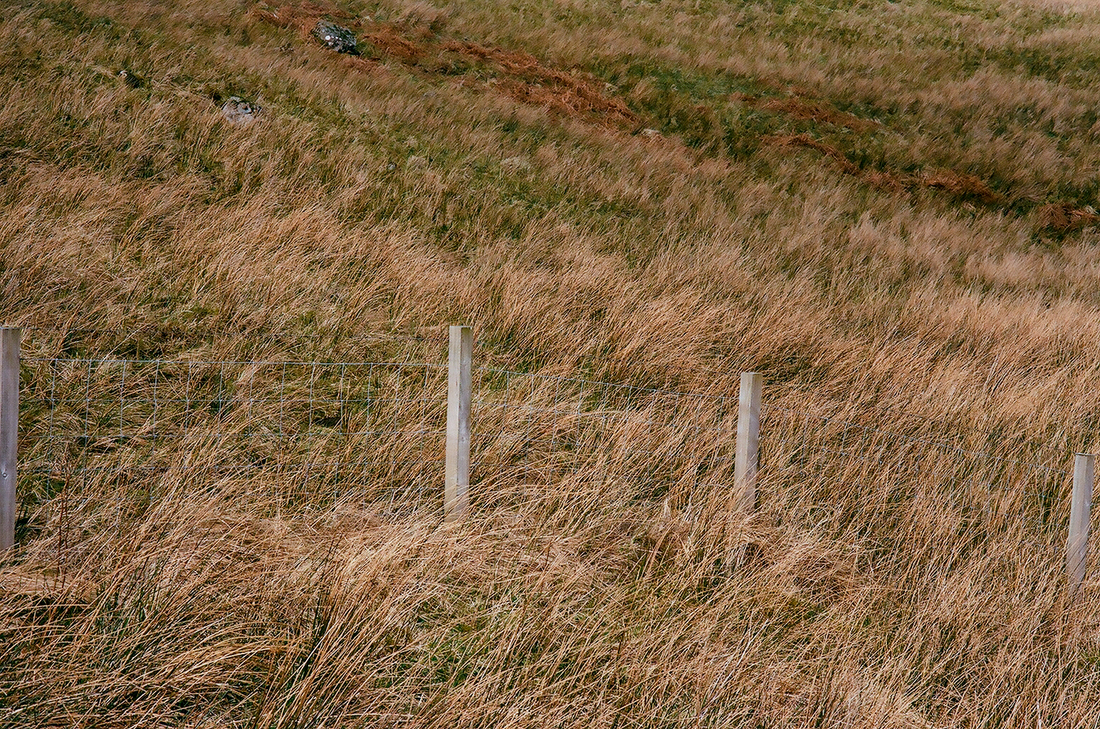 isle of skye 35mm (12 of 29).jpg