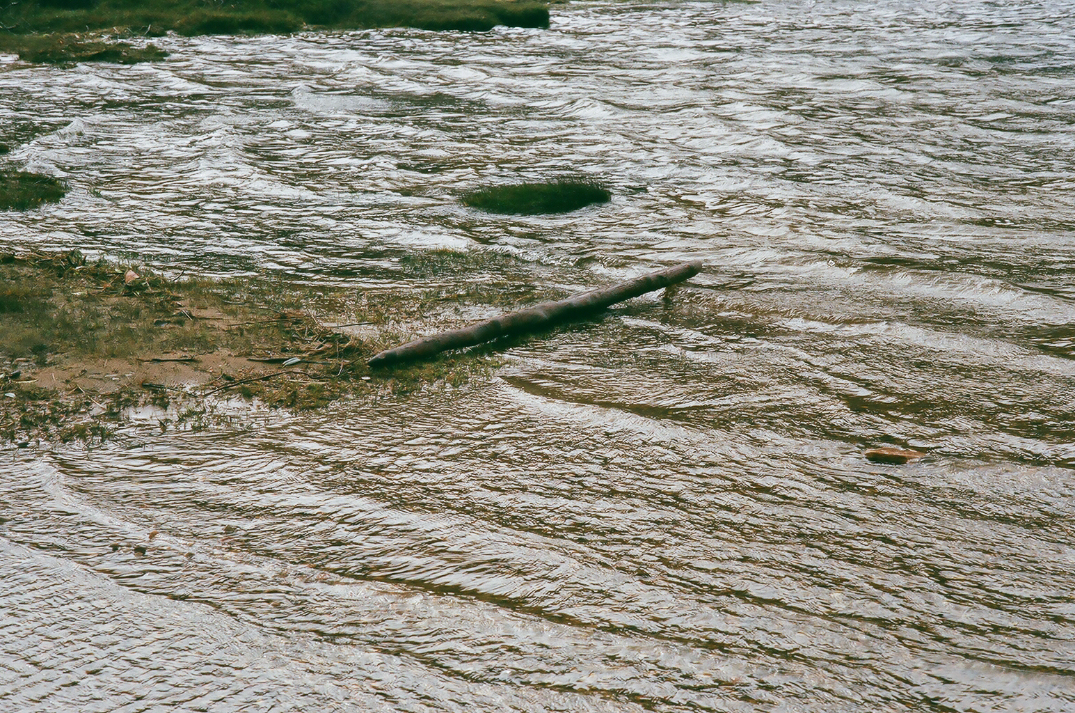 isle of skye 35mm (23 of 29).jpg