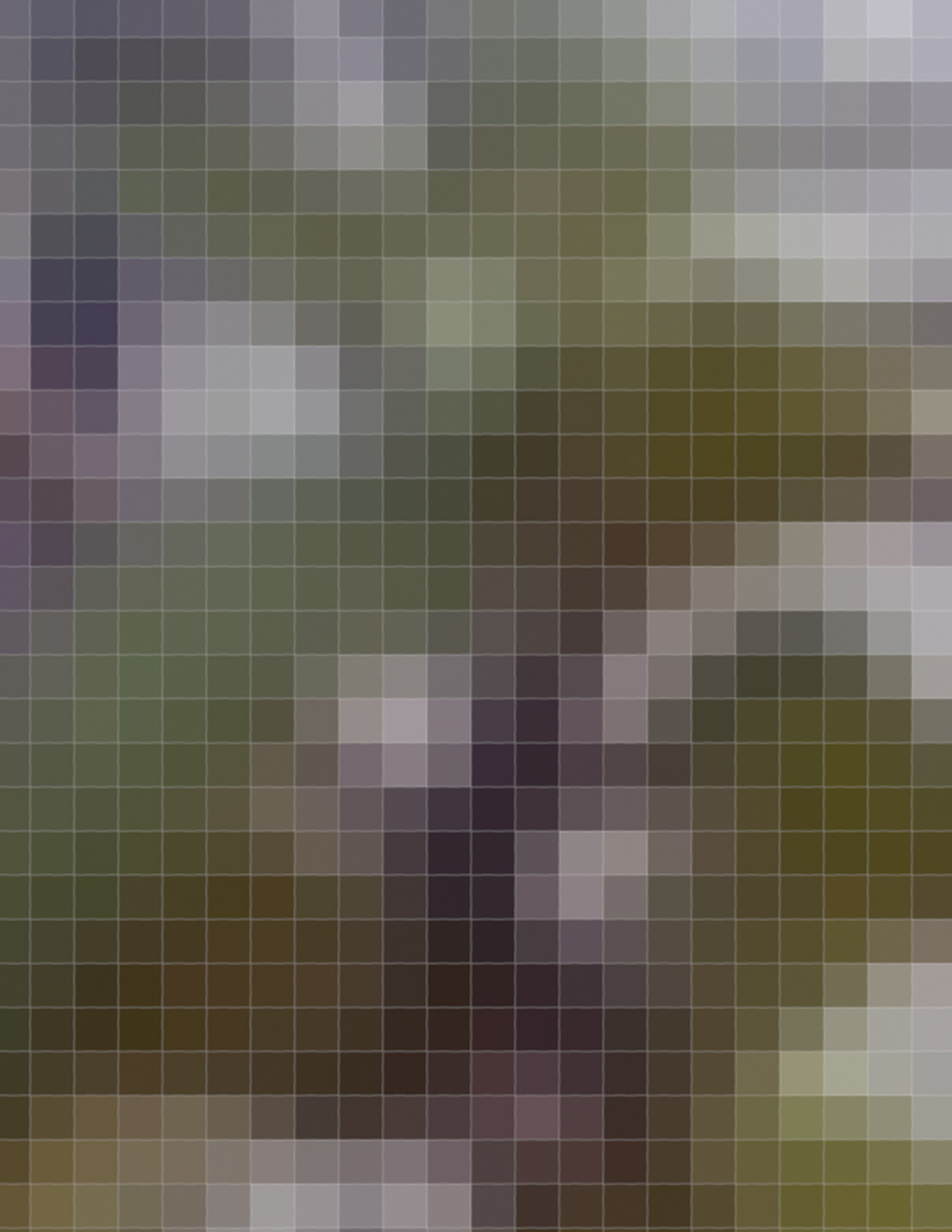 pixel1.jpg