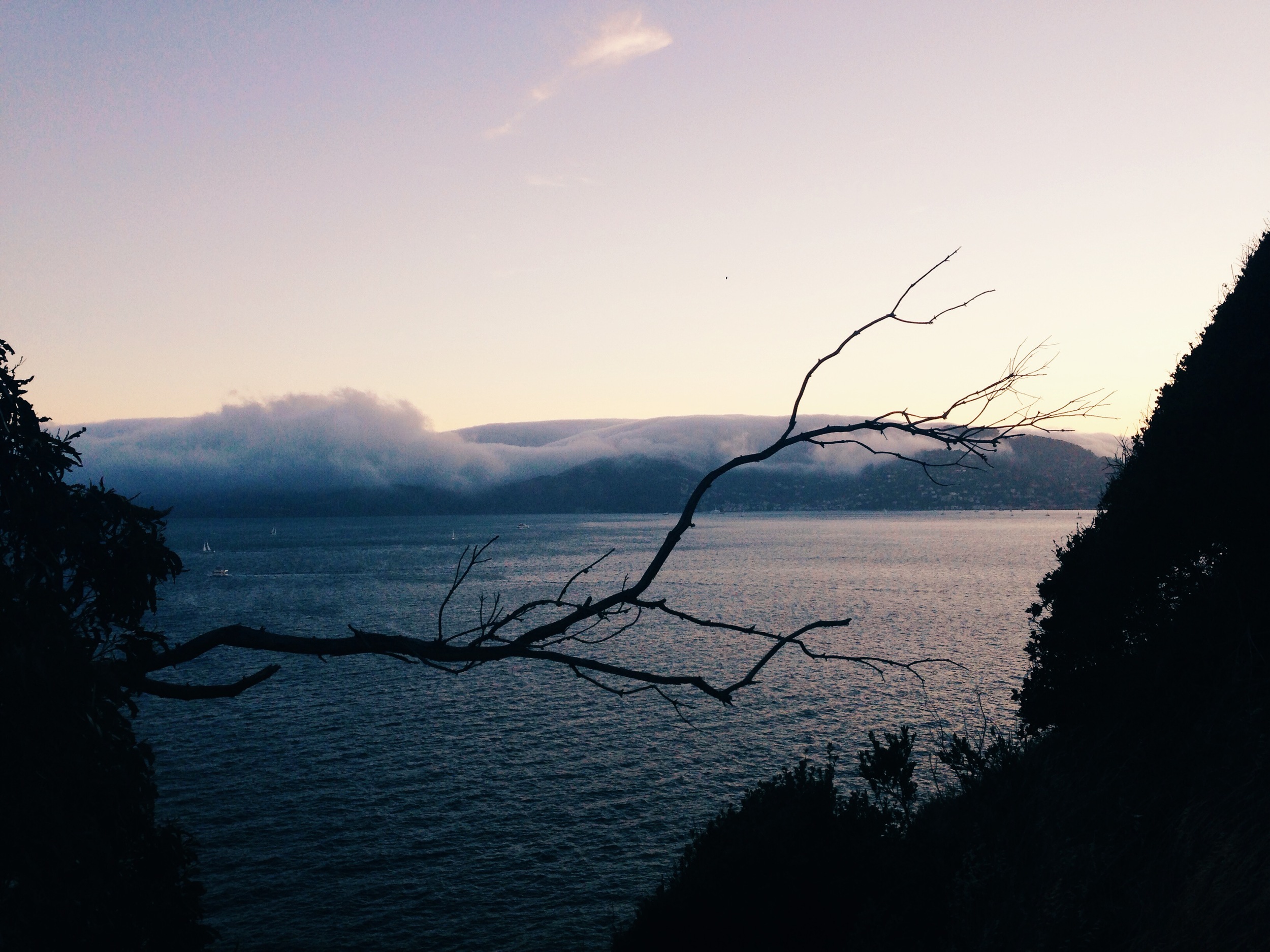 Angel Island