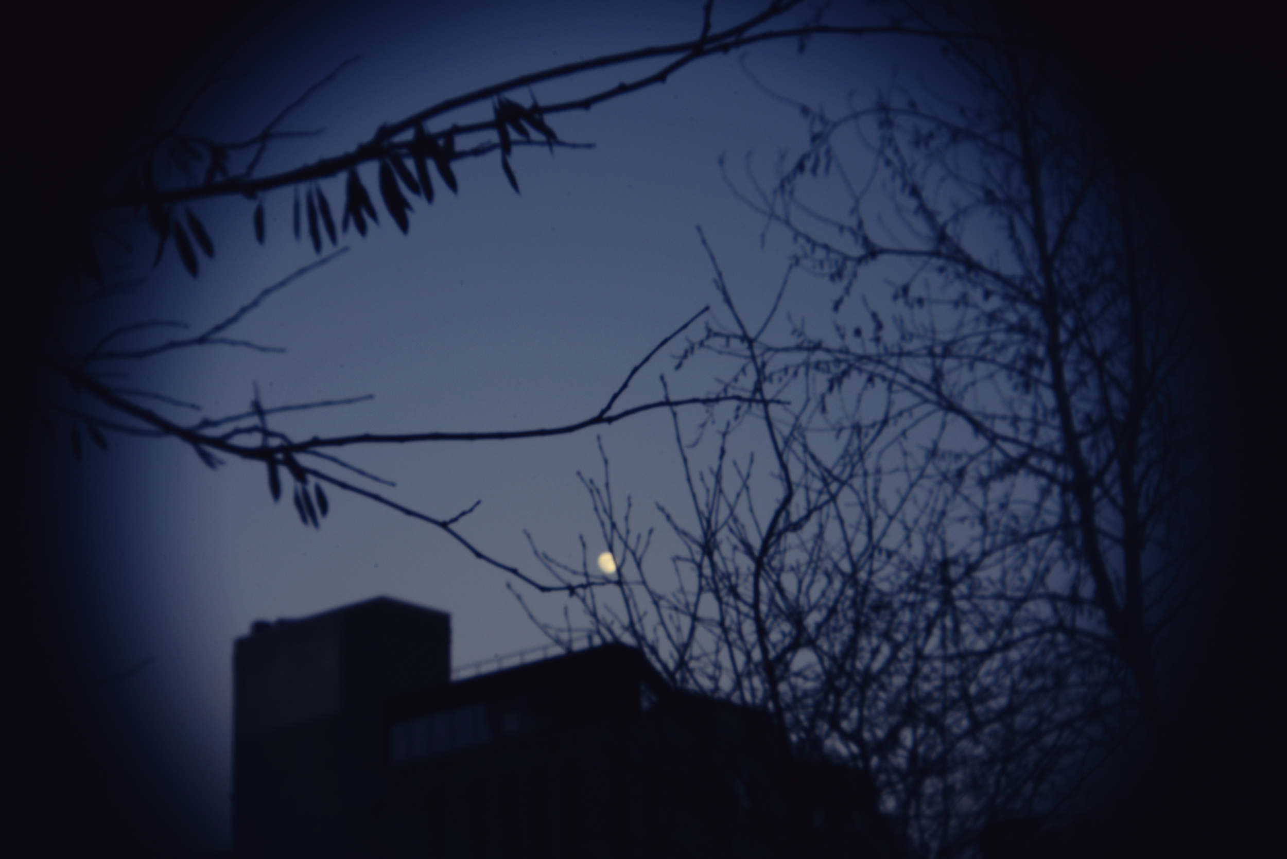 NYC highline holga lens moon.jpg