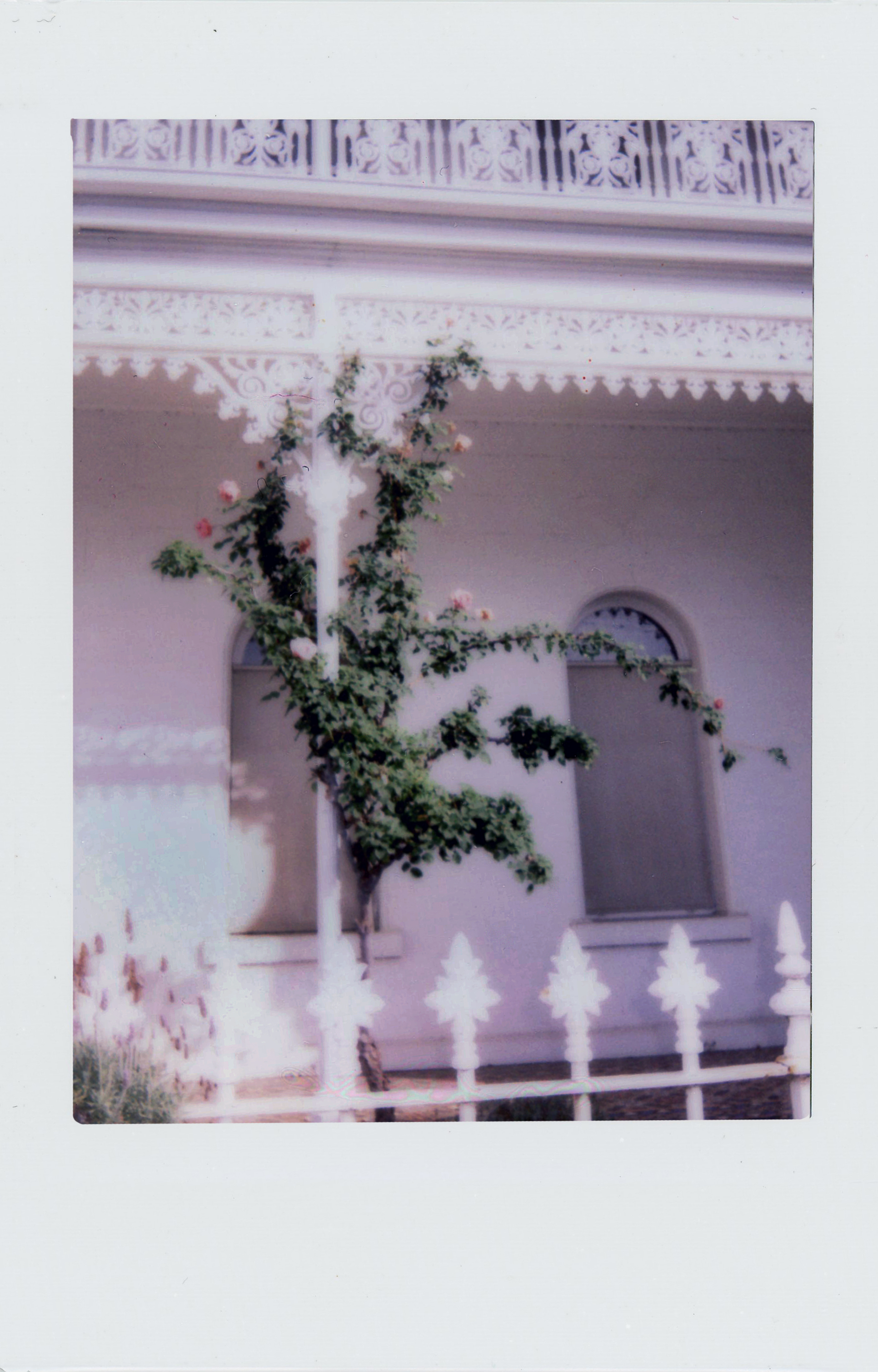 melb instax 7.jpg