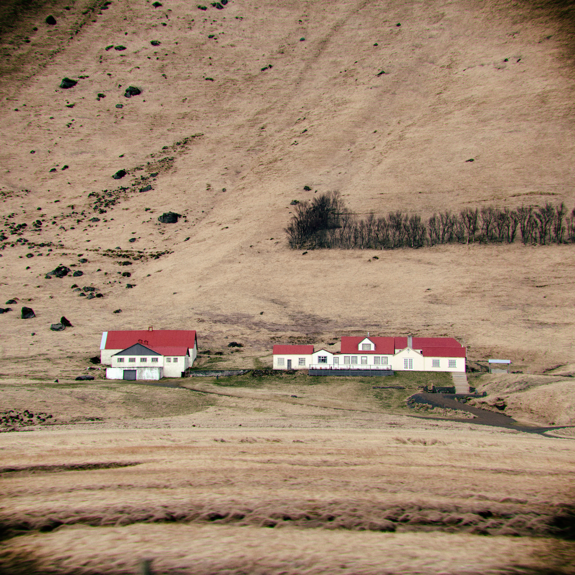 iceland houses-32.jpg