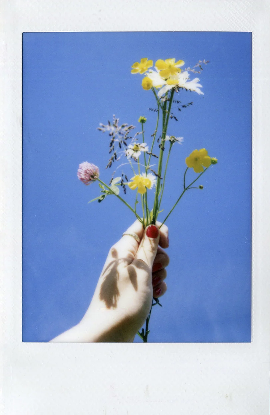 mini+instax+flowers+sky.jpg