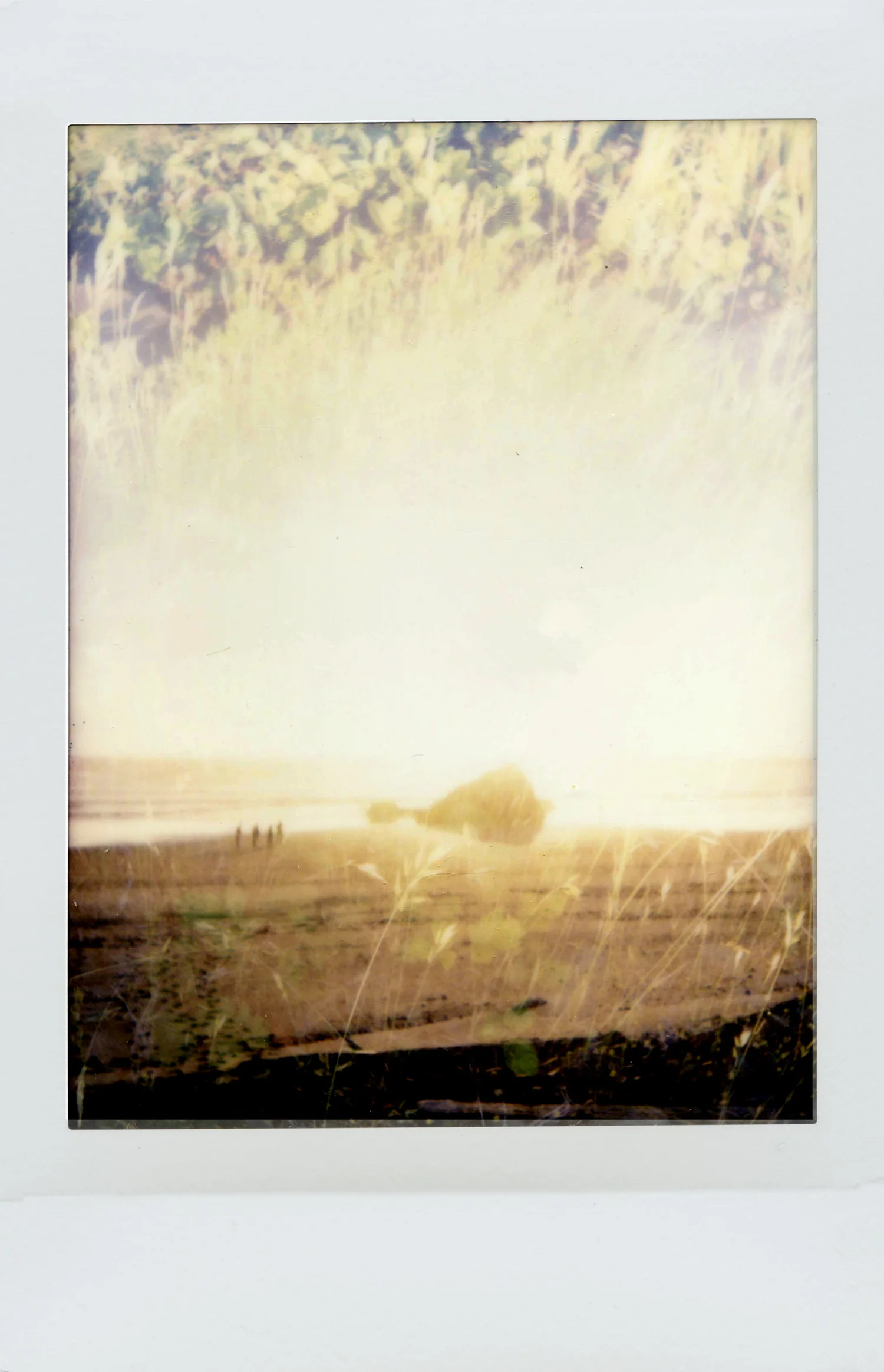 mini+instax+oregon6.jpg