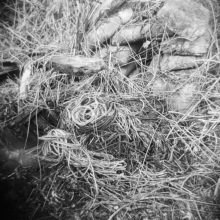 holga12.jpg