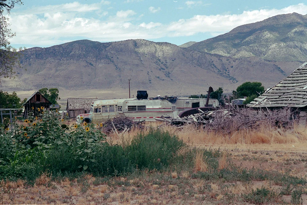 landscape 12.jpg