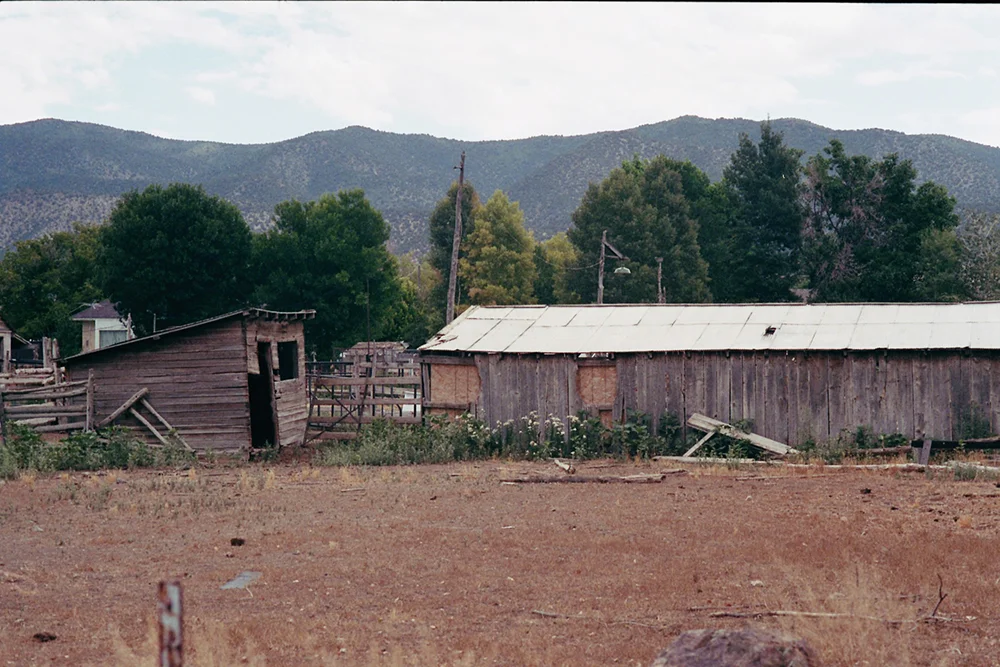 landscape 15.jpg