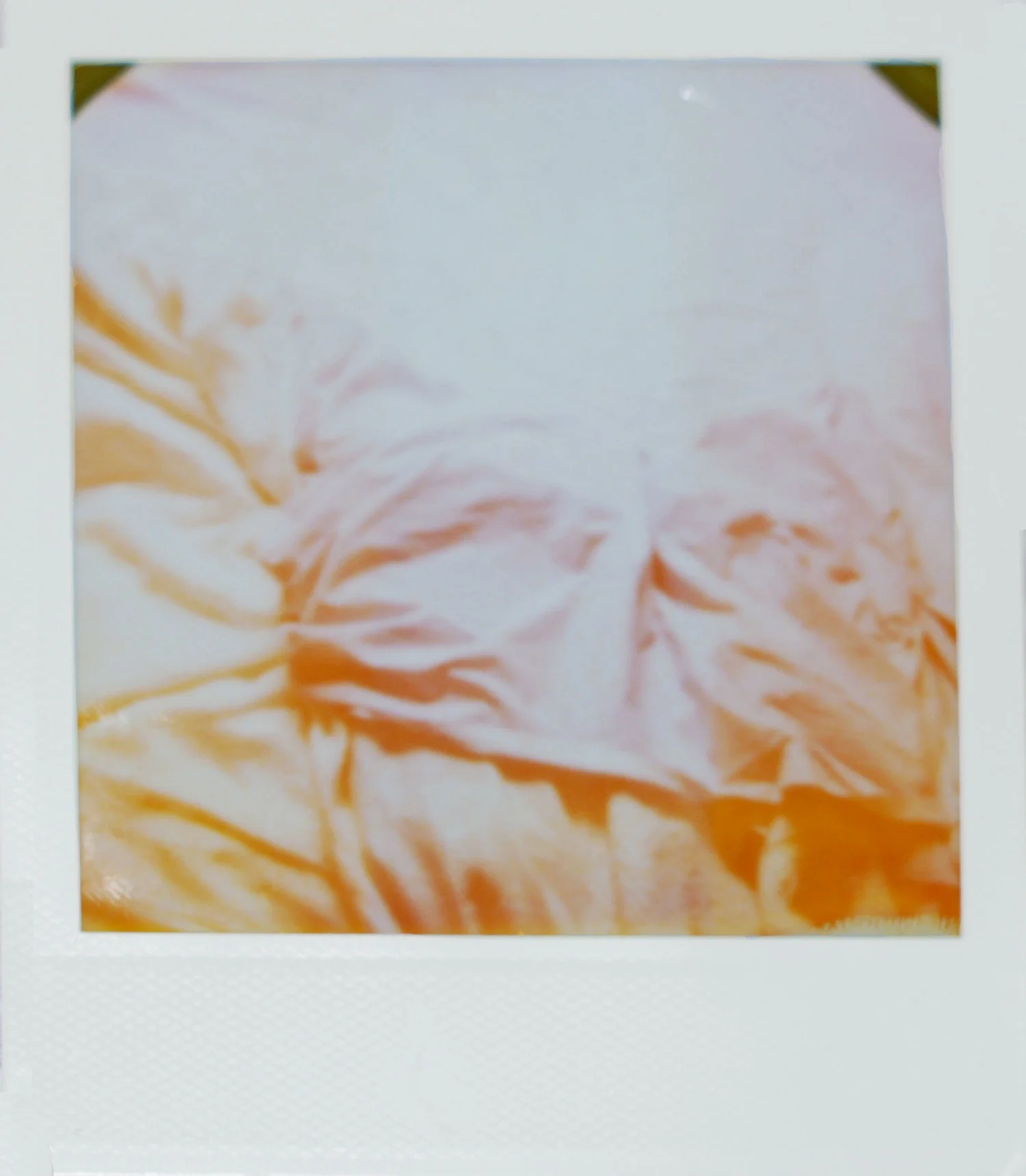 bed-sheets-polaroid.jpg