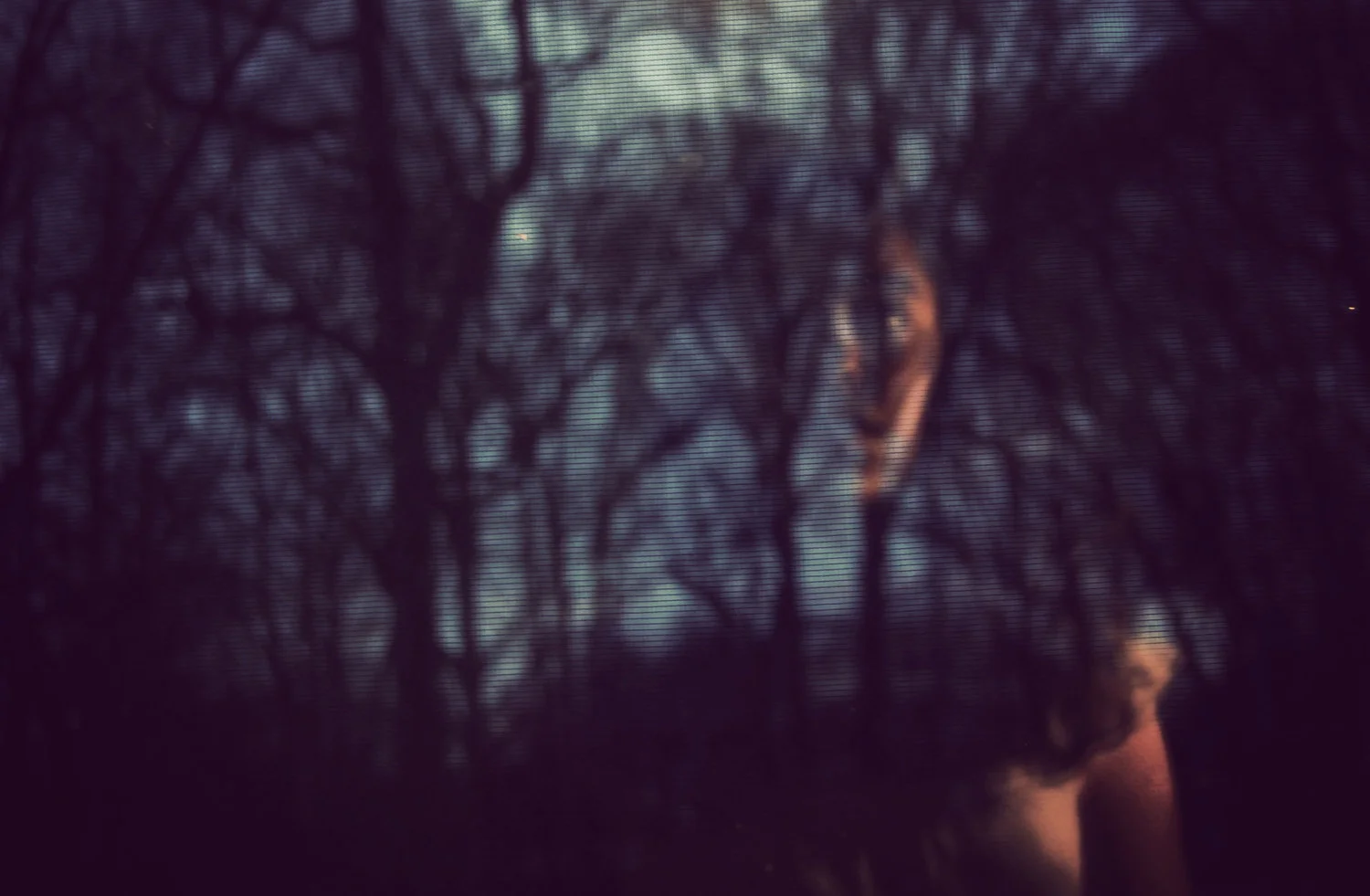 self portrait 27.jpg