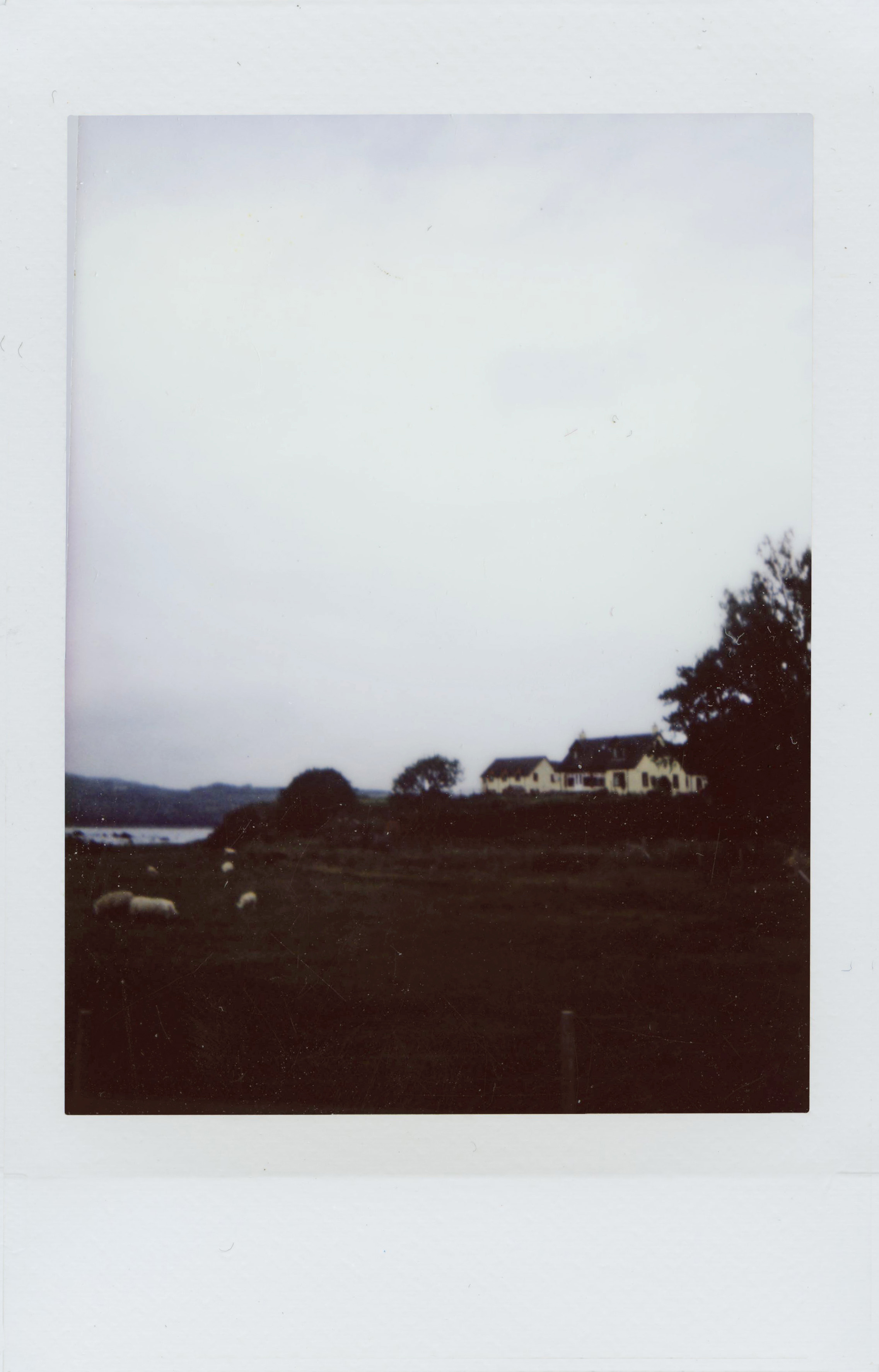 mull instax 9.jpg