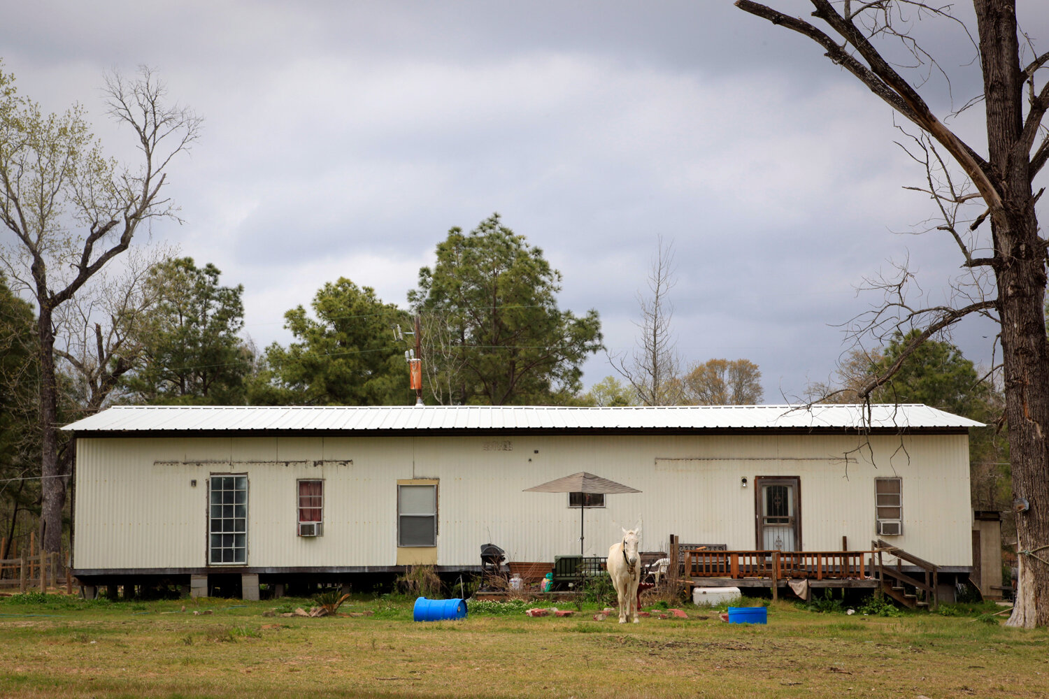 02 Tamina-Landscape-Horse-and-Trailer.jpg