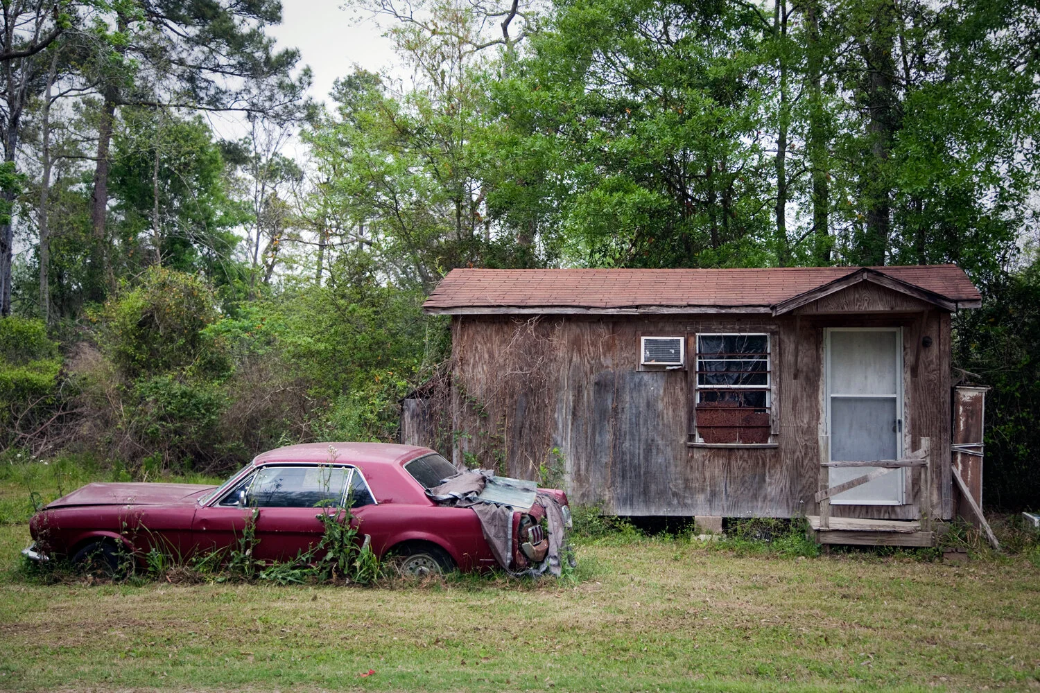 04 Tamina-Landscape-Mustang.jpg