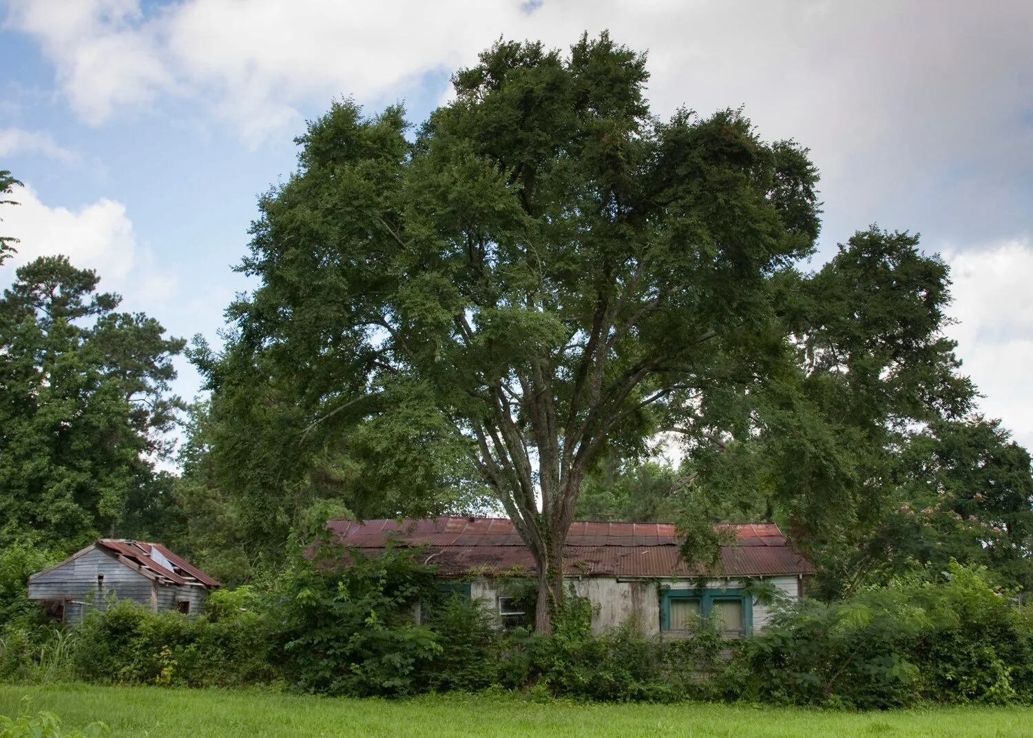 10 Tamina-Landscape-house-and-tree.jpg