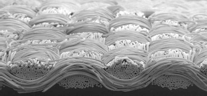 Weave microscope.jpg