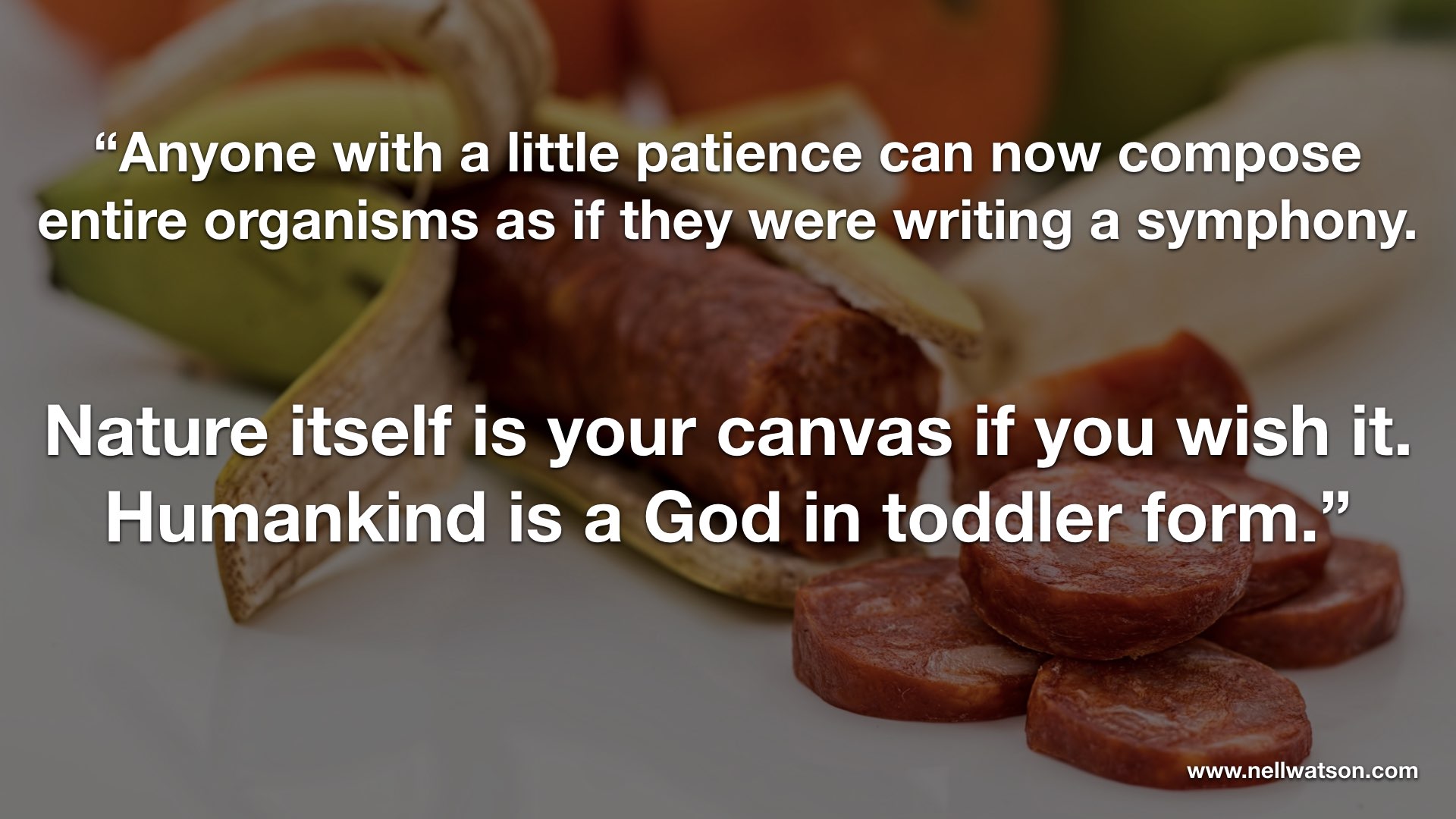 Nell Watson Quote.038.jpeg