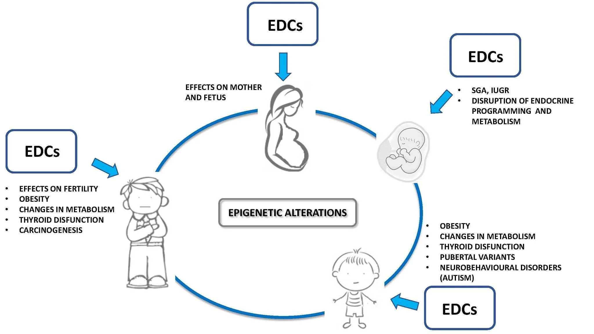 Endocrine Disruptor Symbol — Nell Watson