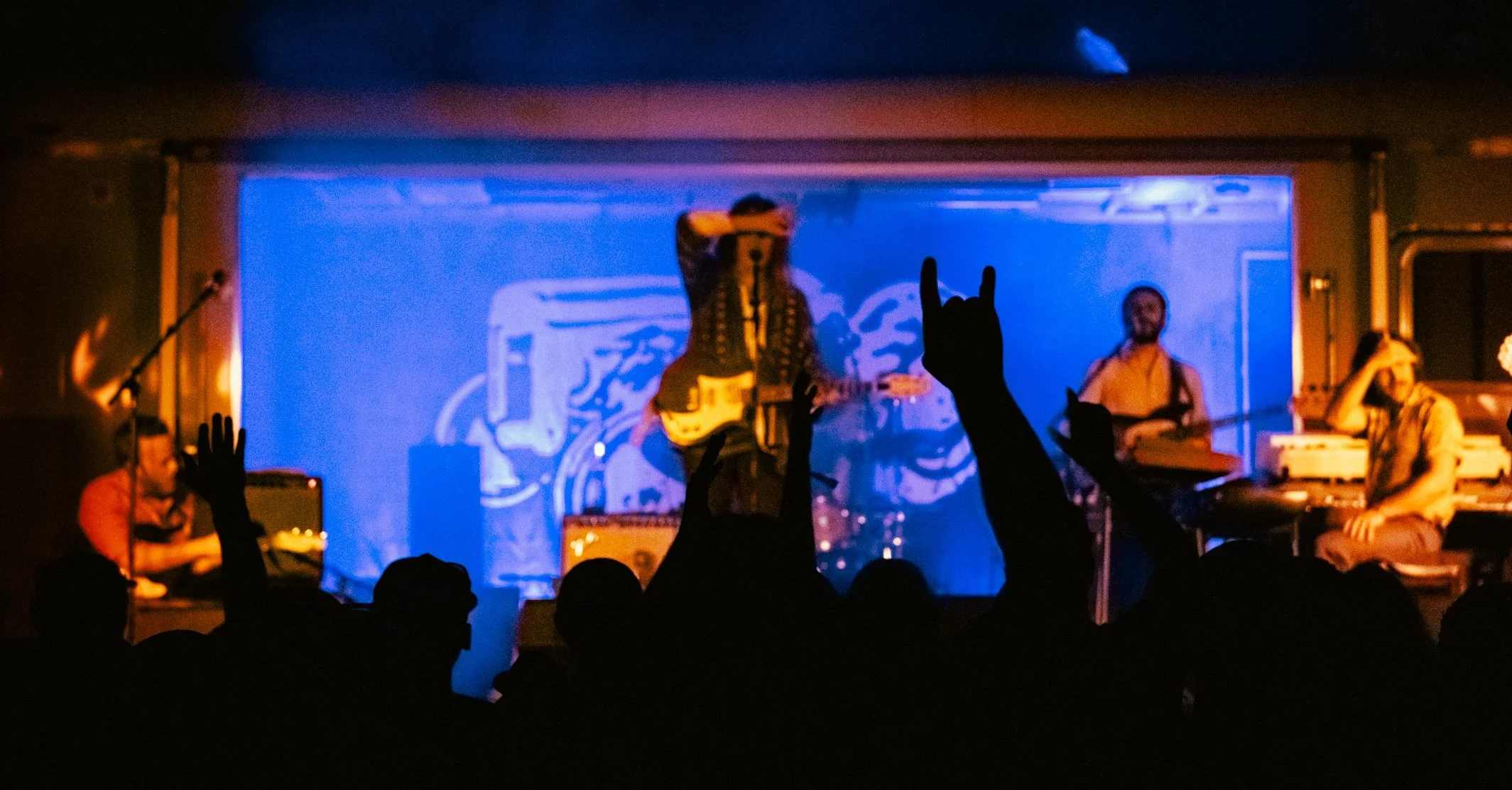 DEN_MeadFst24_FruitBats-857652 cropped.jpeg