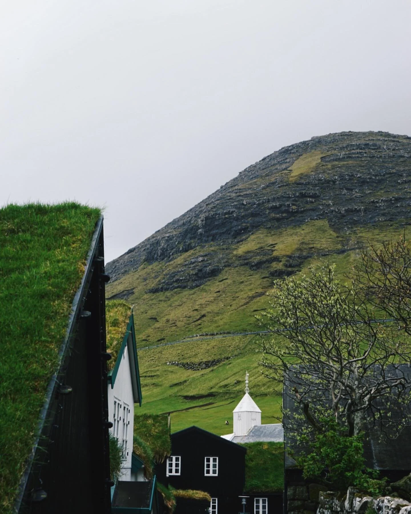Anden dag p&aring; F&aelig;r&oslash;erne var ogs&aring; gr&aring;, t&aring;get, smuk og v&aring;d, men maden var fantastisk og selskabet sk&oslash;nt 💕🗻🤪