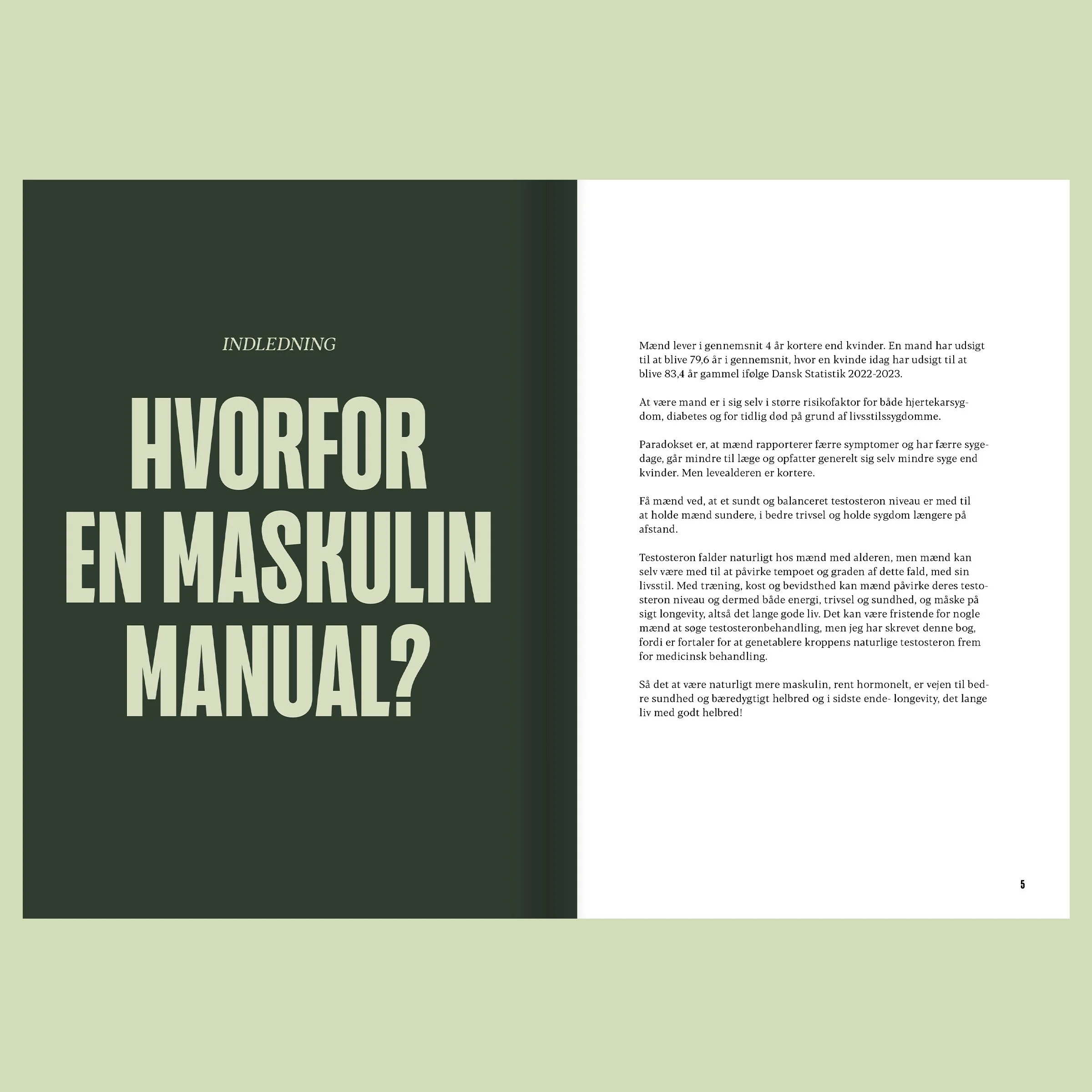 Maskulin-manual_2.jpg