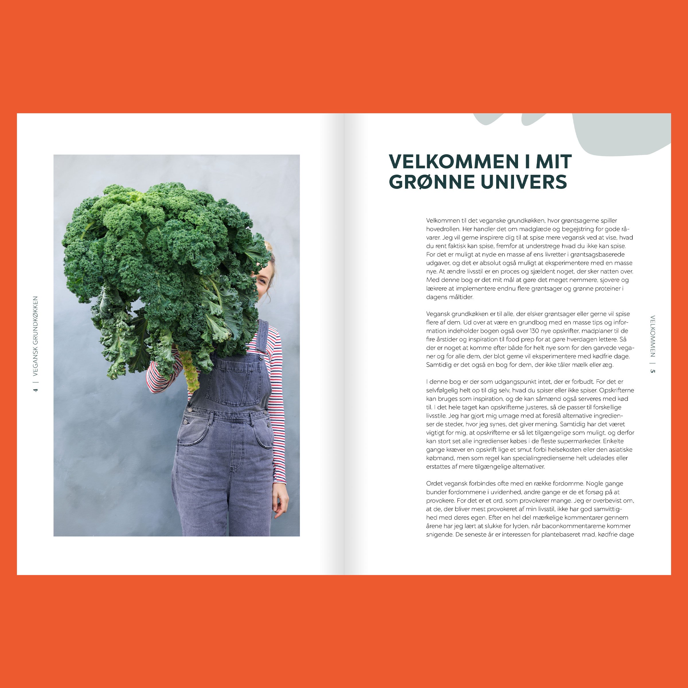 VeganskGrunkoekken-2.jpg