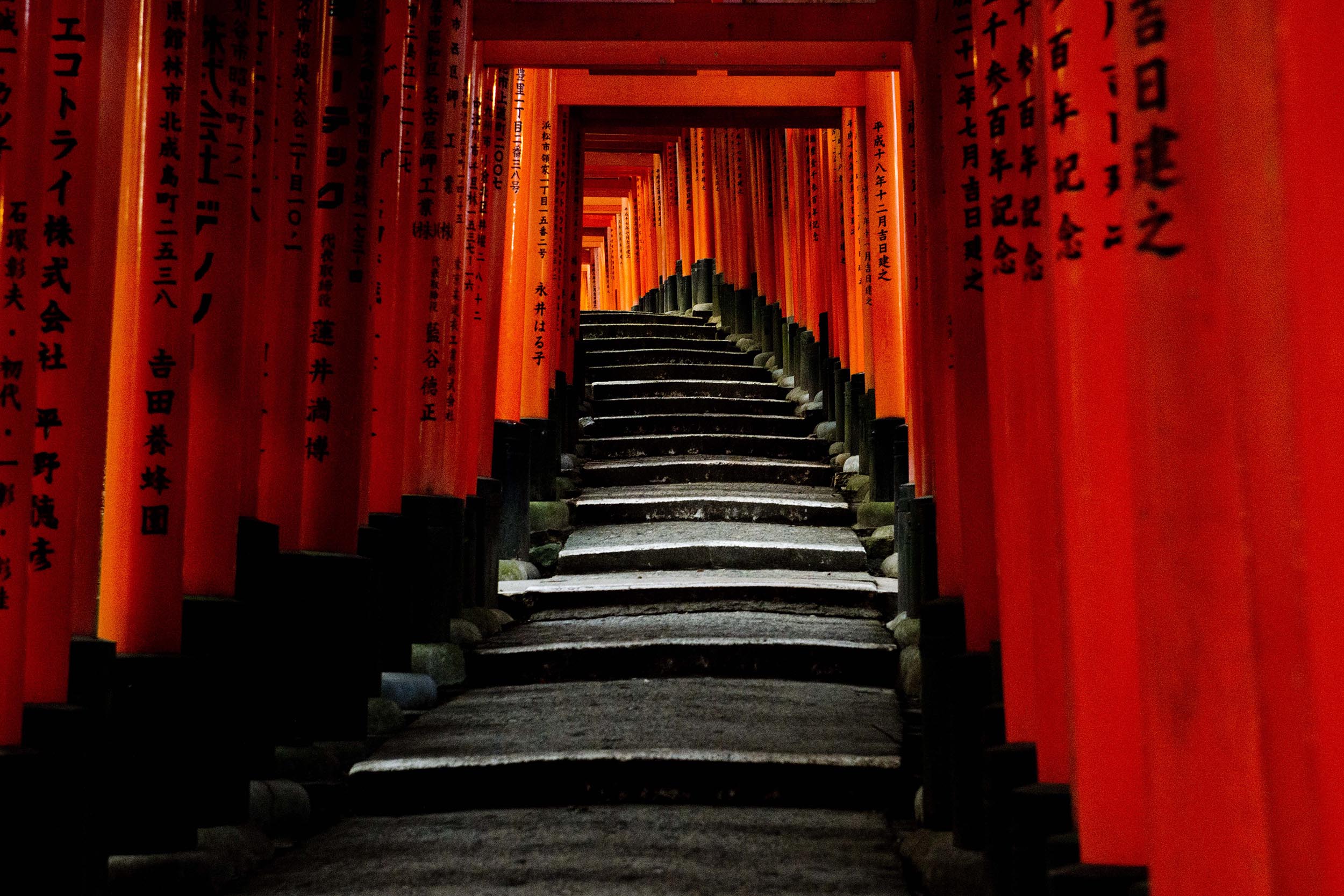  Fushimi Inari, Kyoto, Japan 
