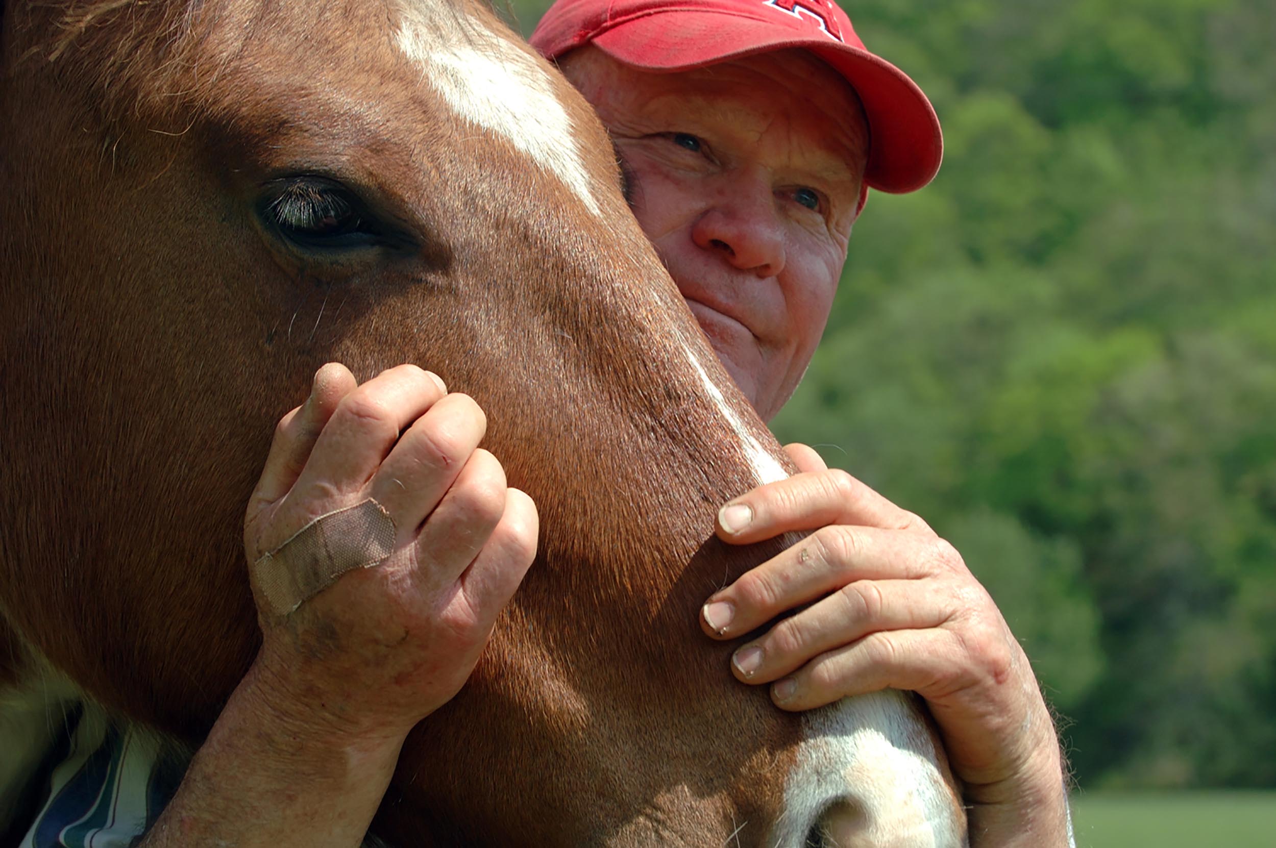 Robert Denlinger clicker trains wild mustangs at his farm in Greenup, Ky.