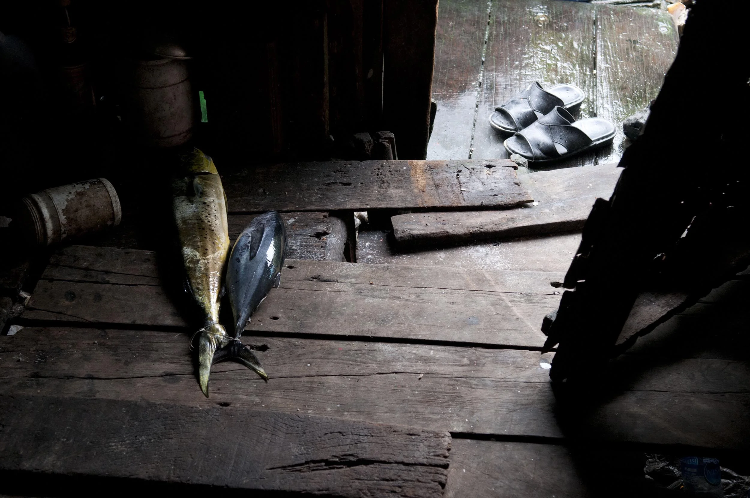 Burmese Migrant Fisherman
