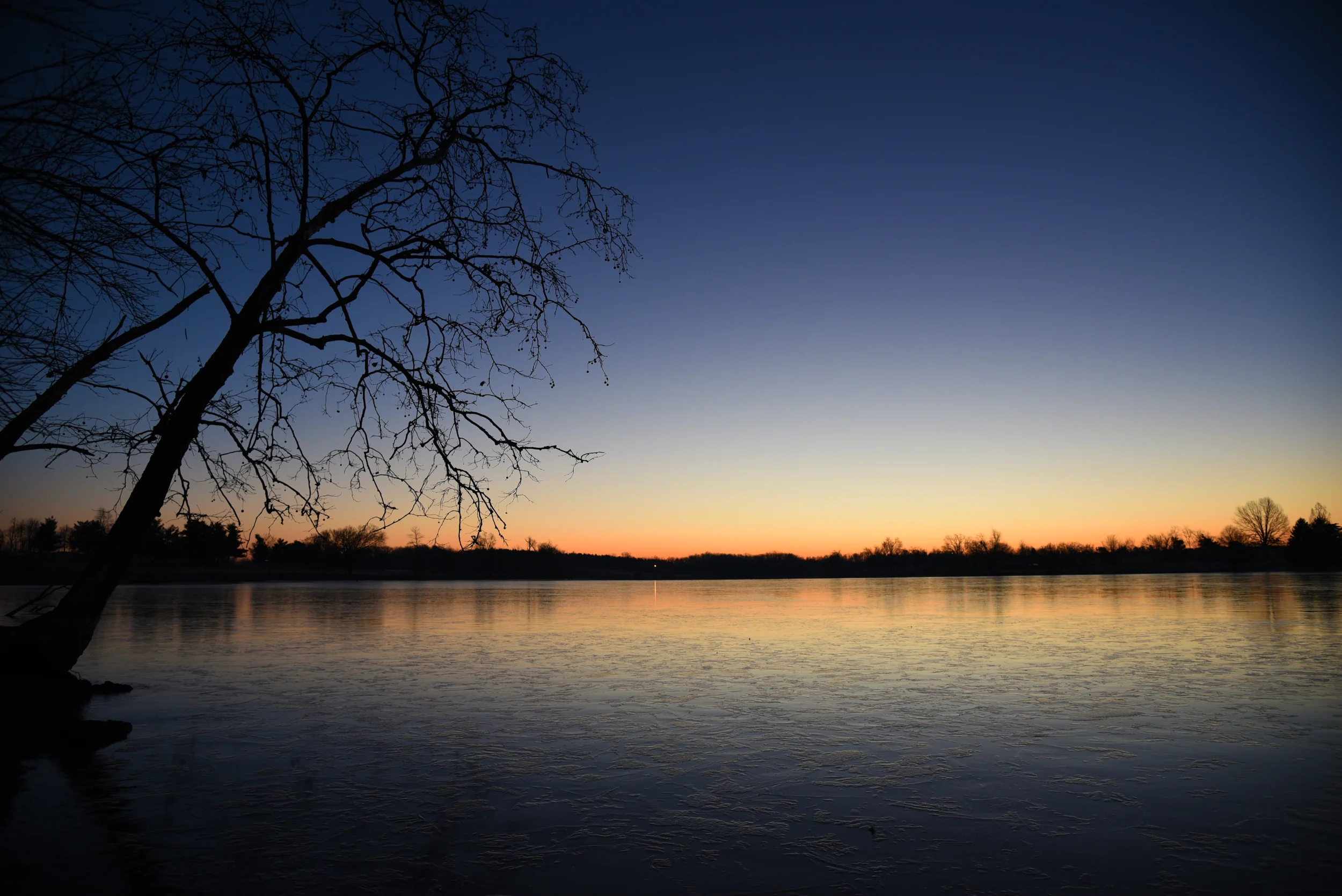 DSC_3475.jpg