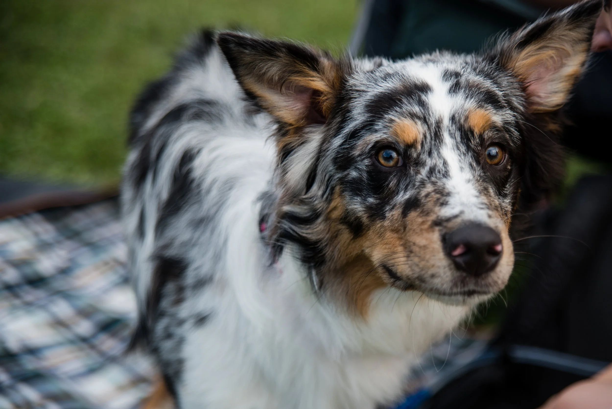 DSC_9575.jpg