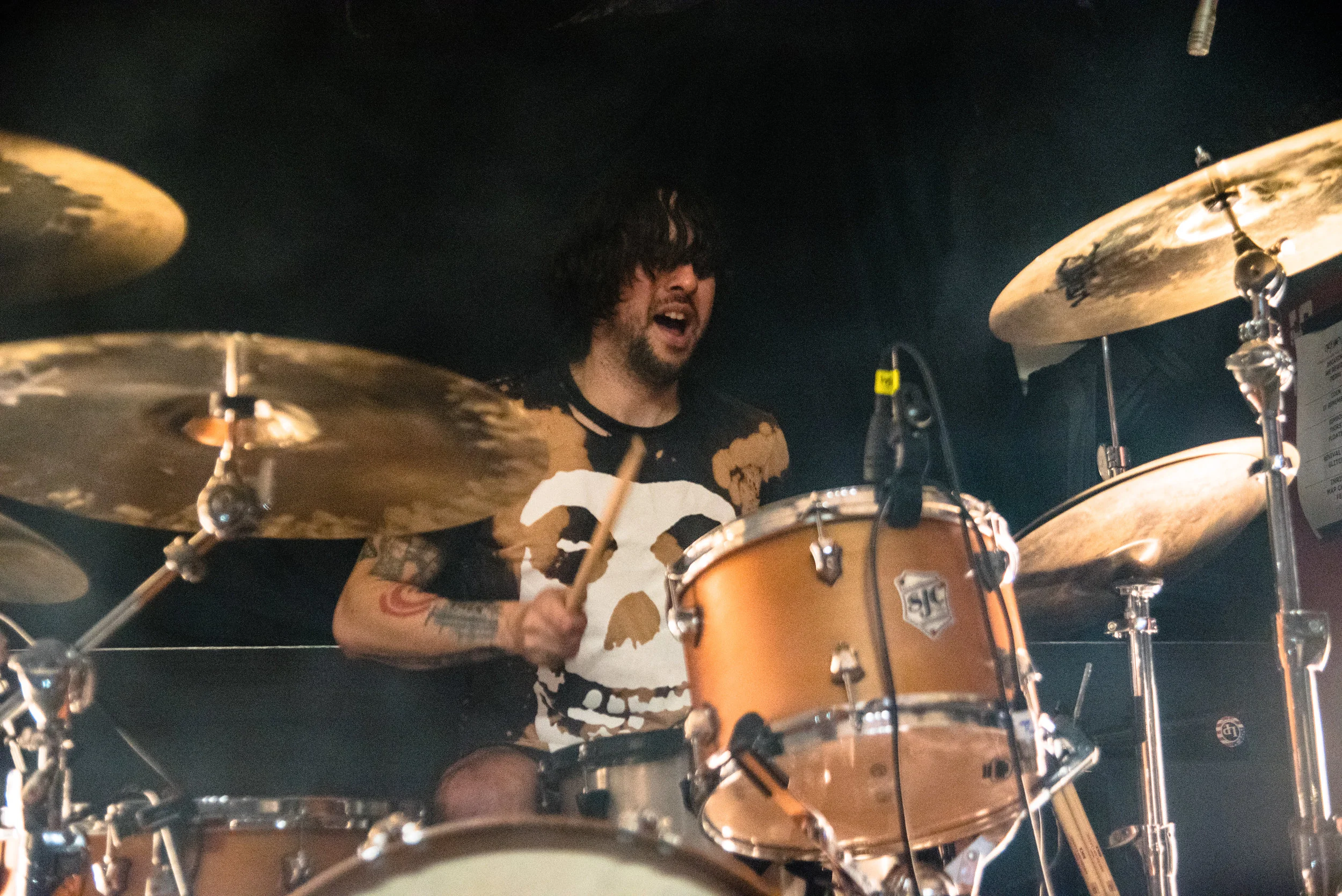 AOP_0484.jpg