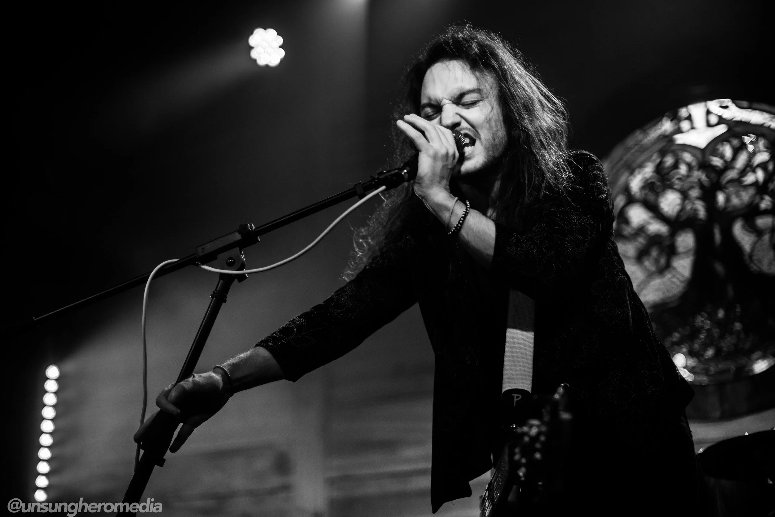 DMB_7168.jpg