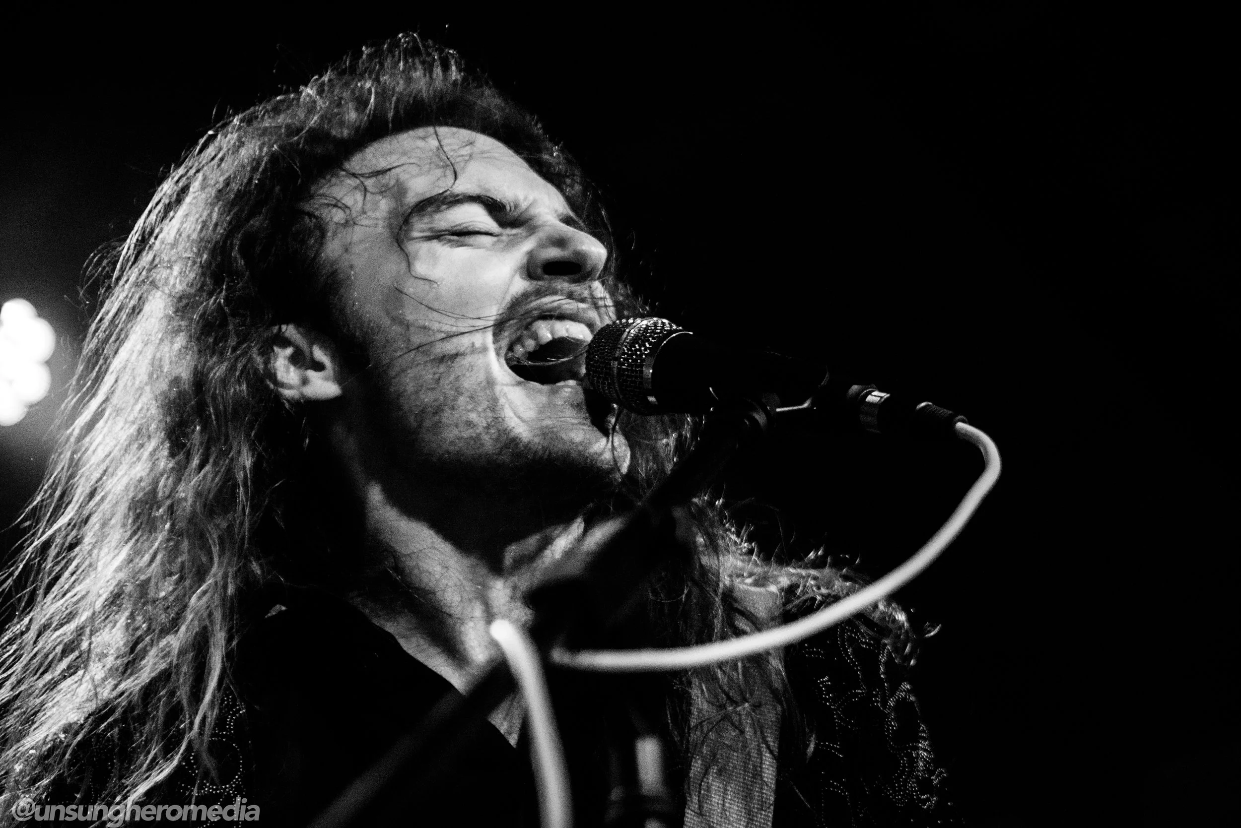 DMB_7347.jpg