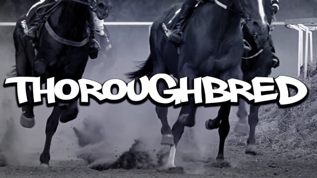 Thoroughbred (Music Video) - Devine Carama ft. Teejay Malik